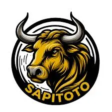 Ikon sapitoto